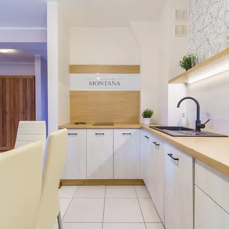 Montana Apartament *