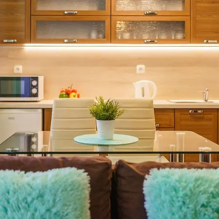 Montana Apartament *